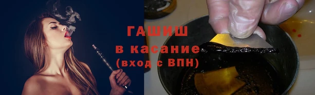 крисы Баксан